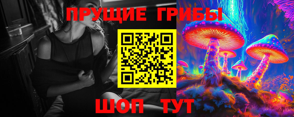 Зима  Псилоцибиновые грибы Cubensis  Вход с VPN 