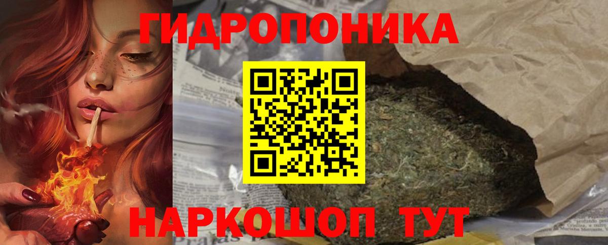 Конопля SATIVA & INDICA Зима